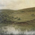 Мочвара и шумарак на путу за Призрен, Косово Поље, 6. мај 1913. (фото www.albert-kahn.hauts-de-seine.fr)