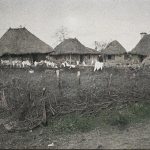 Група српских кућа у селу Липљан, 6. мај 1913. (фото www.albert-kahn.hauts-de-seine.fr)