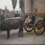 Запрежна кола са женом, Приштина, 4. мај 1913. (фото www.albert-kahn.hauts-de-seine.fr)