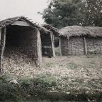 Амбари са кукурузом на пољопривредном добру Есад паше, Ретх, 17. октобар 1913. (фото www.albert-kahn.hauts-de-seine.fr)