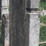 Споменик Михаилу Жунићу на гробљу у Прогону, Гостиница (фото Бојан Радојичић)
