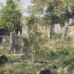 Гробље у Прогону, у Гостиници (фото Бојан Радојичић)