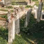 . Споменици на гробљу у Дубљанима, Рибашевина (фото Бојан Радојичић)