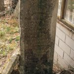 Споменик Благоју Дубљанину на гробљу у Дубљанима, Рибашевина (фото Бојан Радојичић)