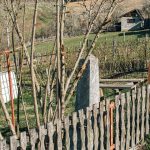 Крајпуташ у улици Душана Радовића у Трнави (фото Бојан Радојичић)