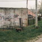 Крајпуташ Радомиру Трифуновићу на Забучју, Ужице (фото Бојан Радојичић)