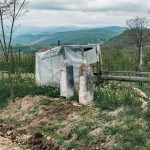 Крајпуташи Панићима на Малића брду у Биосци (фото Бојан Радојичић)