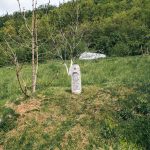 Крајпуташ Станку Ћосићу у Мијатовићима у Биосци (фото Бојан Радојичић)
