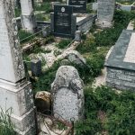 Споменик Којадиновићима на гробљу у Рочњаку, Биоска (фото Бојан Радојичић)