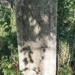 Споменик Драгутину Ивановићу на гробљу у Ћетеништу, Буар (фото Бојан Радојичић)