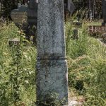 Споменик Станку Пауновићу на гробљу на Спасовњачи у Буару (фото Бојан Радојичић)