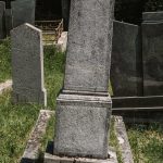 Споменик Рајку Ђокићу на гробљу на Спасовњачи у Буару (фото Бојан Радојичић)