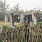 Гробље на потесу Батина вода, у Гостиници (фото Бојан Радојичић)