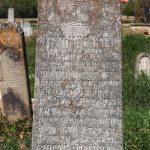 Споменик Вукоману Вукићу у Мујчевини, Рибашевина (фото Бојан Радојичић)