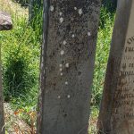 Споменик Милоју Вукићу у Мујчевини, Рибашевина (фото Бојан Радојичић)