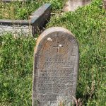 Споменик Василију Танасковићу у Мујчевини, Рибашевина (фото Бојан Радојичић)