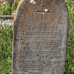 Споменик Василију Танасковићу у Мујчевини, Рибашевина (фото Бојан Радојичић)