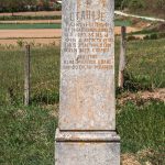 Споменик Станоју Ђокановићу у Мујчевини, Рибашевина (фото Бојан Радојичић)