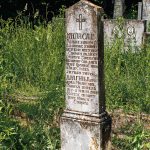 Споменик Милисаву Јањићу на гробљу на Главици у Карану (фото Бојан Радојичић)