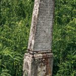 Споменик Томи Митрићу на гробљу на Главици у Карану (фото Бојан Радојичић)