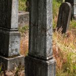 Споменик Божедару Шишићу на гробљу у Туку, Рибашевина (фото Бојан Радојичић)