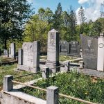 Споменик Милану Синђићу на гробљу у Мекотама, Стапари (фото Бојан Радојичић)