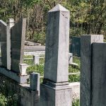 Споменик Милану Синђићу на гробљу у Мекотама, Стапари (фото Бојан Радојичић)