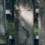 Споменик Радоју Вуковићу на гробљу у Мекотама, Стапари (фото Бојан Радојичић)