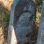 Споменик браћи Пјевчевићима на гробљу код Мегаре у Стапарима (фото Бојан Радојичић)