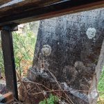 Споменик Бранку Крстонијевићу на гробљу код Мегаре у Стапарима (фото Бојан Радојичић)
