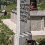 Споменик Обрену Марјановићу на гробљу у Дубцима, Волујац (фото Бојан Радојичић)