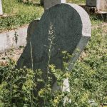 Споменик Кости Челиковићу на гробљу у Дубцима, Волујац (фото Бојан Радојичић)
