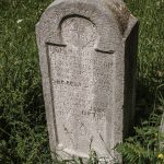 Споменик Ђорђу Секулићу на гробљу у Дубцима, Волујац (фото Бојан Радојичић)