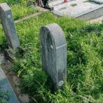 Споменик Јовиши Томановићу на гробљу на Превији у Дубоком (фото Бојан Радојичић)