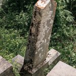 Споменик Крсти Т. Даниловићу на гробљу у Доњем пољу, Качер (фото Бојан Радојичић)