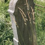Споменик Ђорђу Тадићу на гробљу у Гардићима, Качер (фото Бојан Радојичић)