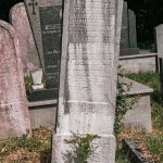 Споменик Милоју Гардићу на гробљу у Гардићима, Качер (фото Бојан Радојичић)
