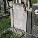 Споменик Василију Секулићу на гробљу на Главици, Качер (фото Бојан Радојичић)