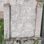Споменик Василију Секулићу на гробљу на Главици, Качер (фото Бојан Радојичић)