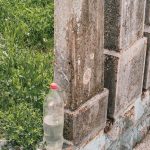 Споменик Благоју Зарићу на гробљу на потесу Осоје, Качер (фото Бојан Радојичић)