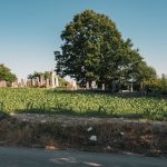 Гробље на потесу Горњи Крај у Луновом Селу (фото Бојан Радојичић)