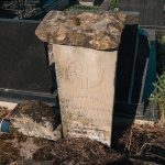 Споменик Војиславу и Чедомиру Миловићима на гробљу у засеоку Јелићи у Луновом Селу (фото Бојан Радојичић)