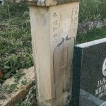 Споменик Петру Јањићу на гробљу у засеоку Јелићи у Луновом Селу (фото Бојан Радојичић)