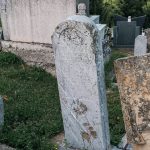 Споменик Ђоку Ђоковићу на гробљу у Севојну (фото Бојан Радојичић)