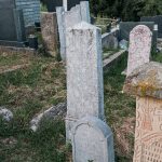 Споменик Велимиру и Ђорђу Алексићима на гробљу у Севојну (фото Бојан Радојичић)