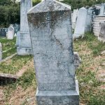 Споменик Симу Ђоковићу на гробљу у Севојну (фото Бојан Радојичић)