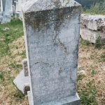 Споменик Симу Ђоковићу на гробљу у Севојну (фото Бојан Радојичић)