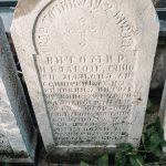 Споменик Витомиру Арсенијевићу на гробљу на потесу Виловине у Севојну (фото Бојан Радојичић)