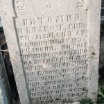 Споменик Витомиру Арсенијевићу на гробљу на потесу Виловине у Севојну (фото Бојан Радојичић)