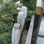 Споменик Витомиру Арсенијевићу на гробљу на потесу Виловине у Севојну (фото Бојан Радојичић)